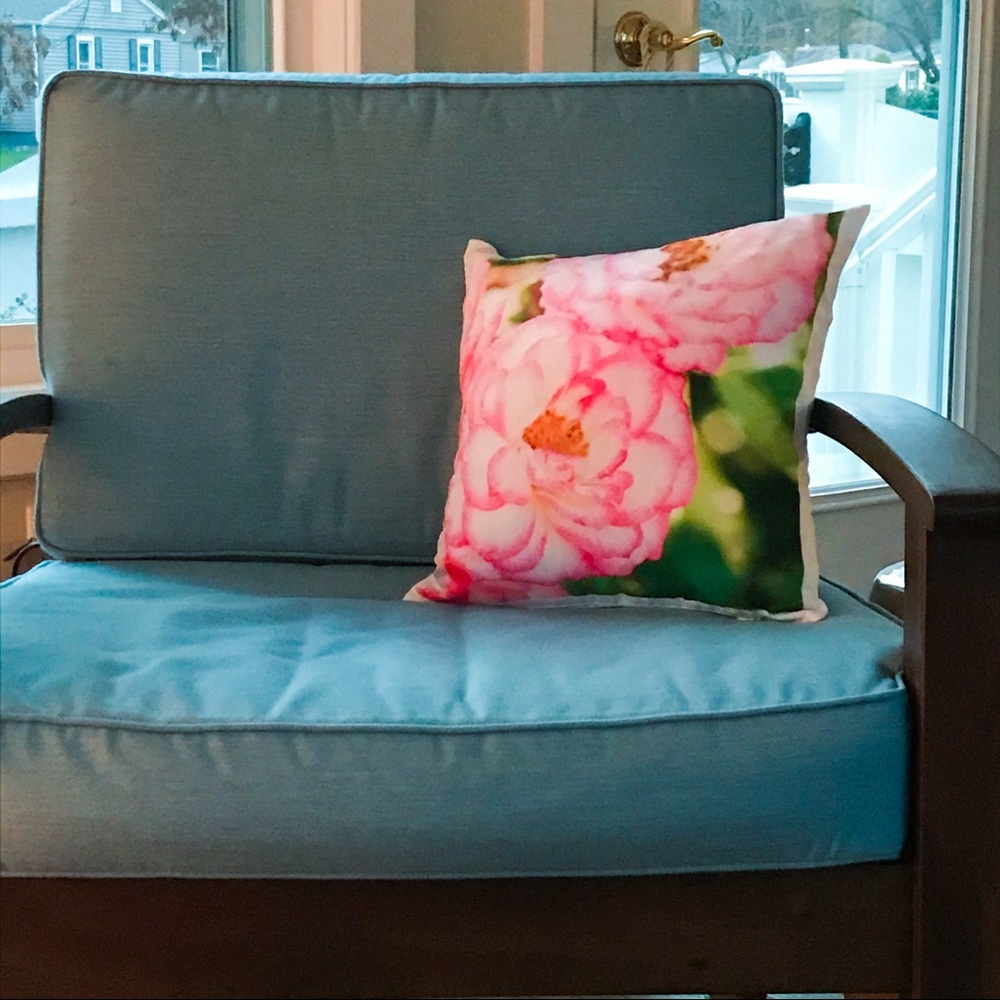 Limited Edition 16”x16” Pink Rimmed Roses Pillow Cover